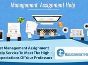 Hire Good Management Assignment Help Service Providers