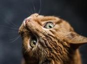 Seven Ways Change Your Mindset