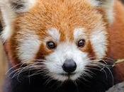 April Featuring Freebies!