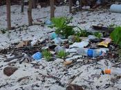 Report Finds Drinks Bottles Most Traceable Plastic Waste European Waterways