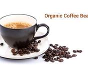 About Organic Coffee