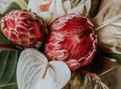 Tropical Wedding Bouquets Ideas