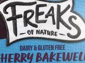Freaks Nature Cherry Bakewell Pudding Review