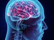 Obesity… Casue Less Gray Matter Volume