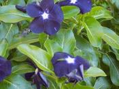 Prata Potpourri: RHE, Divine Order, False Humility, Book Sale! More