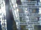 Past Week(s) Have Been Tough Future Looks Bright