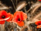 Reciprocated Thoughts