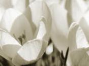 Reunited With Family