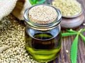 Everything Need Know About Hemp