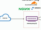 Tips Regarding Buying Proxy Your Business