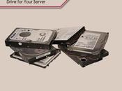 Choose Perfect Hard Disk Drive Your Server