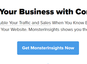 MonsterInsights Coupon