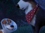 Secret Life Pets More Mini-Movie Than Movie