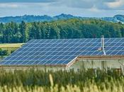 Tips Bidding Utility-Scale Solar Project Proposals
