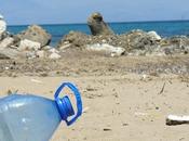 Canada Joins Growing Worldwide Movement With Plans Single-Use Plastics