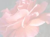 Interlude: Thoughts Dazzling, Righteous, Holy Savior