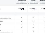 Shopify Pricing Strategy: Stay Profitable