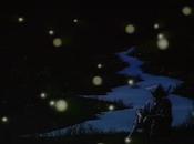 Japanese Fireflies