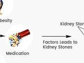 Minimize Risk Kidney Stone?