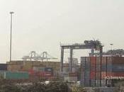 Asian Gypsy Moth ...... Trouble Canada Ports