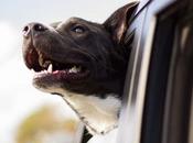 Creating Healthy, Happy Safe Home Your Family