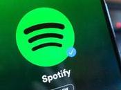 Spotify Updates iPad Support Split Screen Multitasking Features