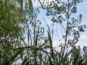 Friday Fotos: NOTHING Photograph, Again (for Peter)