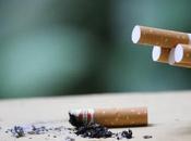 Study Reveals Cigarette Butts Cause Serious Harm Environment Hindering Plant Growth