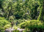 Nature Insisting Life Among Detritus Civilization