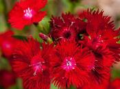 Friday Fotos: Selection Recent Photos Order Date [cosmos]