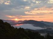 Dawn Comes Like Thunder