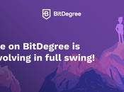 BitDegree Review 2019: Best eLearning Platform Opinion)