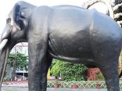 World Elephant Remembering Gajarajan Guruvayur Kesavan