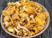 Recipe: Chanterelles with Pappardelle