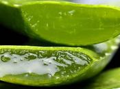Benefits That from Aloe Vera
