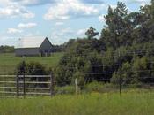 Ladies, More Resources; Ones Reminders Established