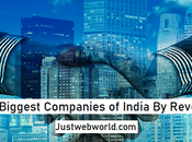 Biggest Companies India Revenue
