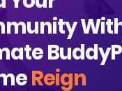 Create Colorful Posts Your WordPress Community Website