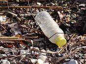 Scientists Present Could Well Remembered Plastic