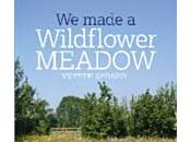Book Review Made Wildflower Meadow Yvette Verner