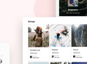 Best Intranet Extranet WordPress Themes