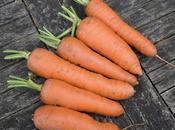 Maincrop Carrots
