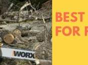 Best Chainsaw Firewood 2019