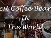 Best Coffee Beans World [Reviewed October 2019]