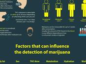 Easy Ways Ready Drug Test