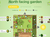 Planting Guide Different Garden Aspects