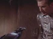 Days Terror!: Raven (1963)
