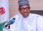 What Buhari Told Police About Young People Carrying Laptops