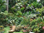 Hunte’s Garden, Barbados