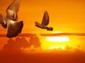 Domestic Violence; There Blood Over Face